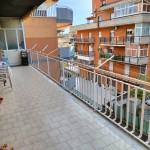 img20241123095757